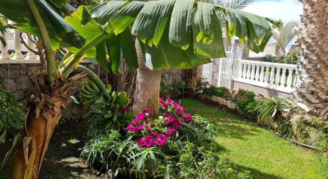 Апартаменты Deluxe Apartamentos Los Delfines