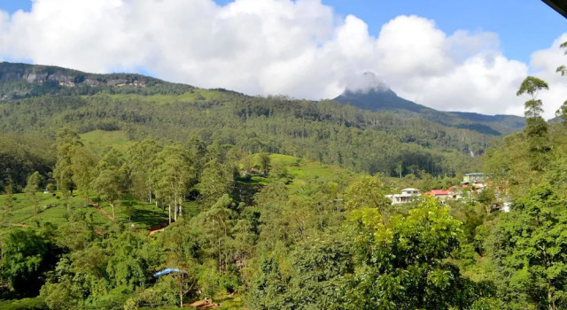 Двухместный номер Superior Adams Peak Inn