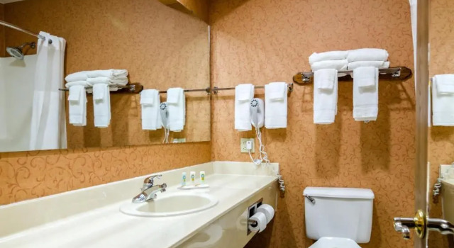 Четырёхместный номер Standard Quality Inn Eureka Springs South
