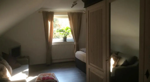 Двухместный номер Standard Hotel Elfenmühle