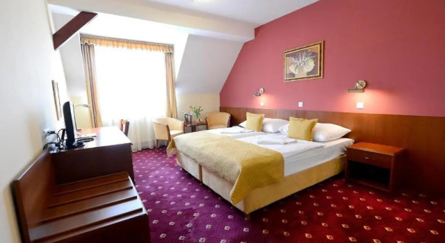 Номер Business Hotel Tilia