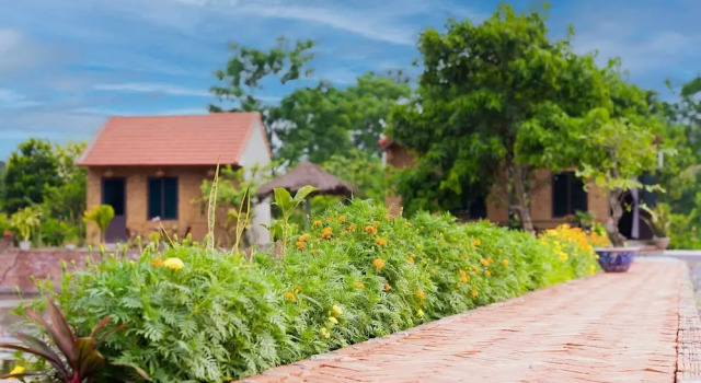 Бунгало Tam Coc Cat Luong Homestay