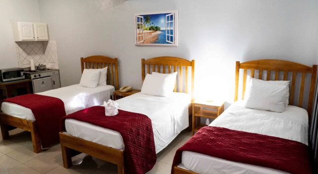 Трёхместный номер Standard The Paradise Inn