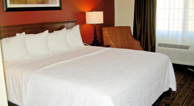 Savanna Inn & Suites, Varaa Hotelli Hotellit Illinois pysäköinnillä, Pysäköinti