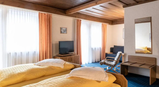 Полулюкс Typically Swiss Hotel Ermitage