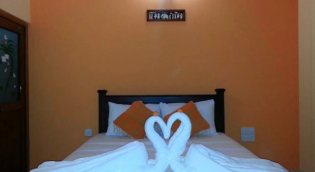 Mutu Village treehouse tourist board approved bungalow