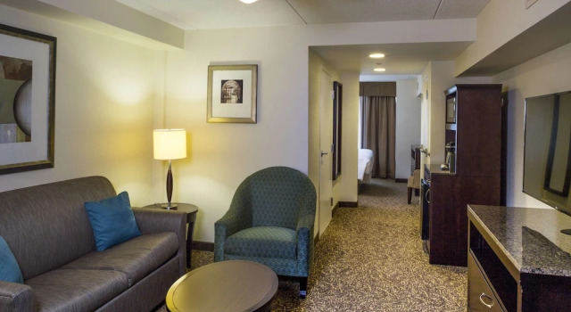 Люкс Hilton Garden Inn Hampton Coliseum Central