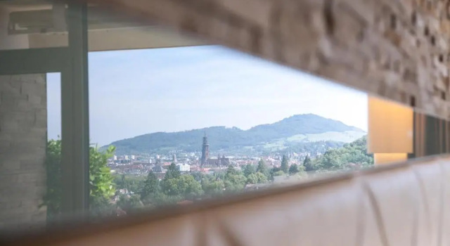 Двухместный номер Superior Mercure Hotel Panorama Freiburg