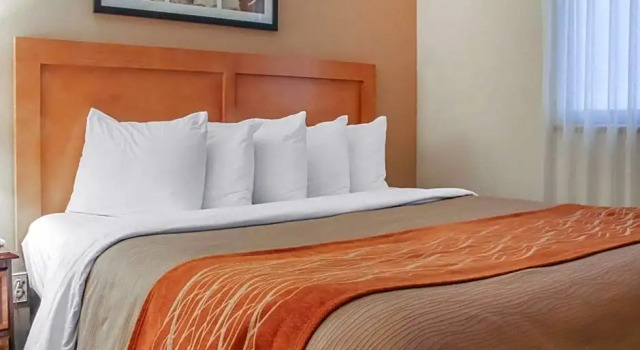 Двухместный люкс Цокольный этаж Comfort Inn South