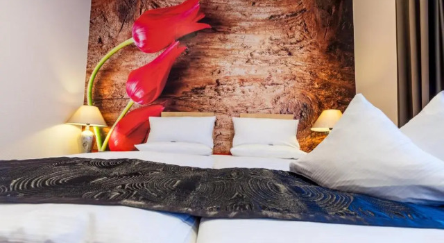 Двухместный номер Economy Akzent Hotel Tietmeyer & Cross Side