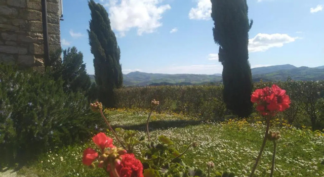 Номер Deluxe villa colticciola Agriturismo Marche