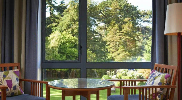 Одноместный номер Standard Ballymascanlon Hotel and Golf Resort