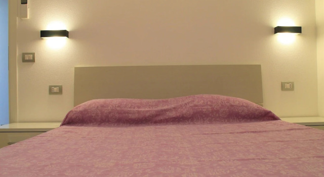 Apartamento 1 dormitorio Il Guercino