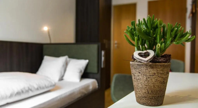 Номер Standard Insel-Hotel-Lindau