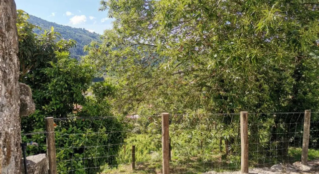 Коттедж Quinta da Mata