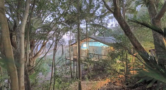 Номер Standard Treetops Seaview Montville