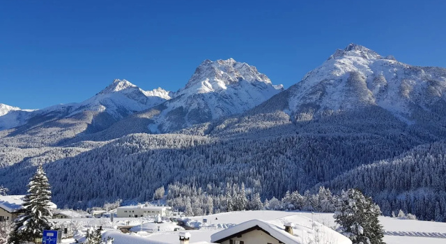 Camera Standard con balcone e con vista Typically Swiss Hotel Altana