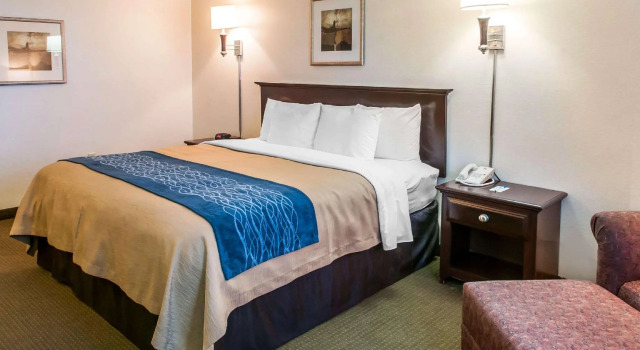 Двухместный номер Standard Comfort Inn Las Vegas New Mexico