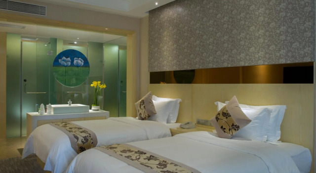 Двухместный номер Business Paco Business Hotel Luo Gang Wan Da Branch