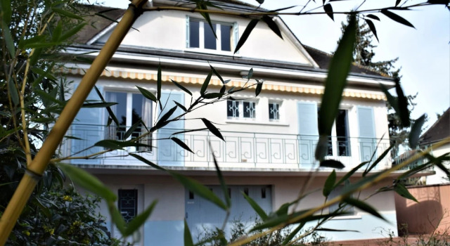 Villa Palmera