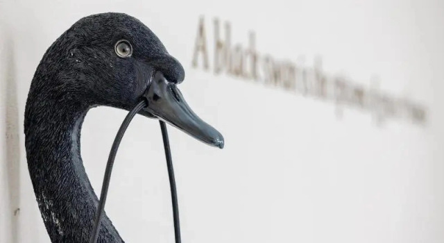 Номер Economy The Black Swan Hotel