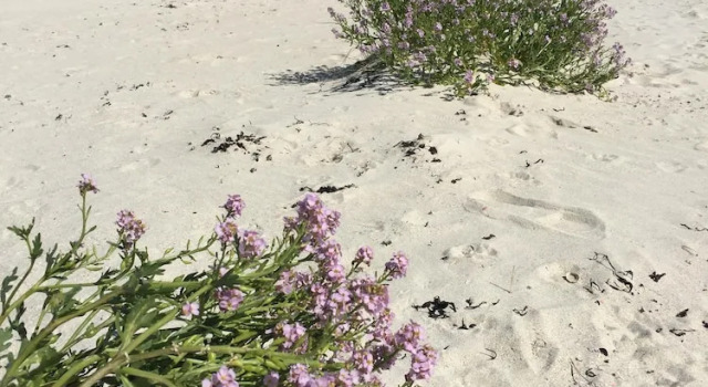 Студия Luxury Uig Sands Rooms