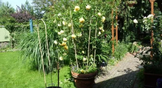 Ferienwohnung Friedrichshagen