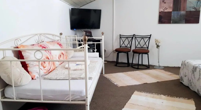 Семейный номер Deluxe Hostel Pansion Lion