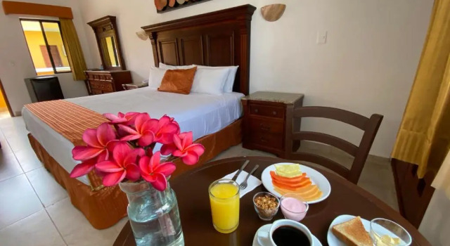Двухместный номер Deluxe Hotel Las Golondrinas
