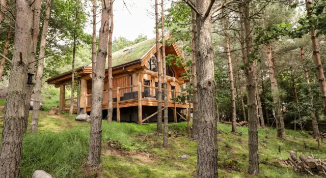 Коттедж Pine Marten Lodge