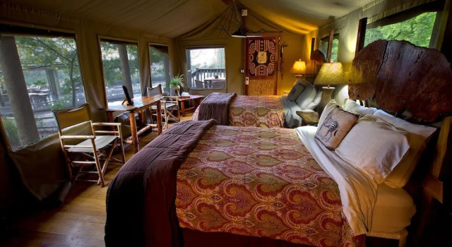 Safari West, Prenota Hotel Mark West Springs Wine Country - Northern California