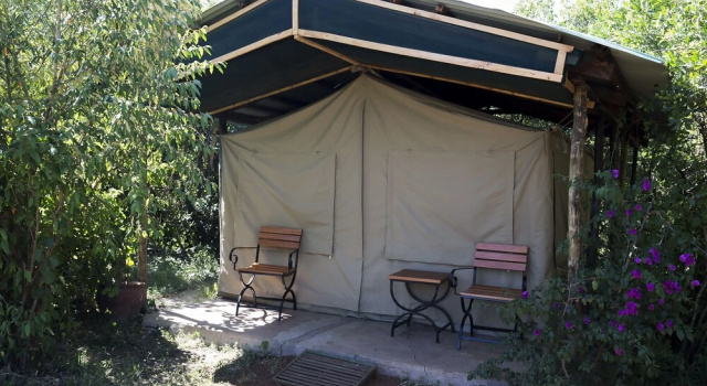 Одноместный номер Standard Mara Big Five Lodge