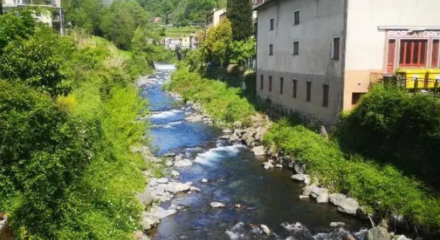 Elicriso Apartment Affittacamere, Rezervasyon Daire Borzonasca Liguria
