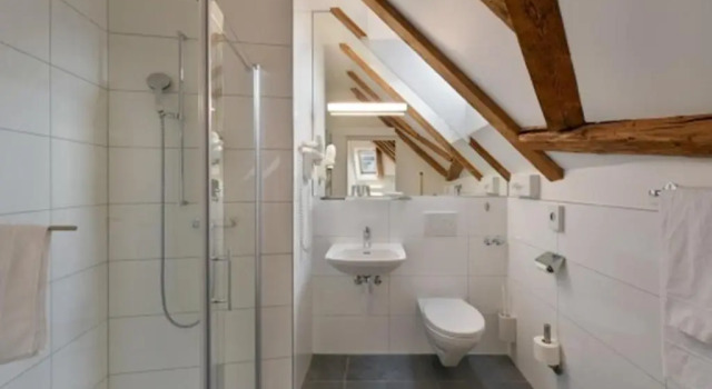 Трёхместный номер Standard Hotel National Bern