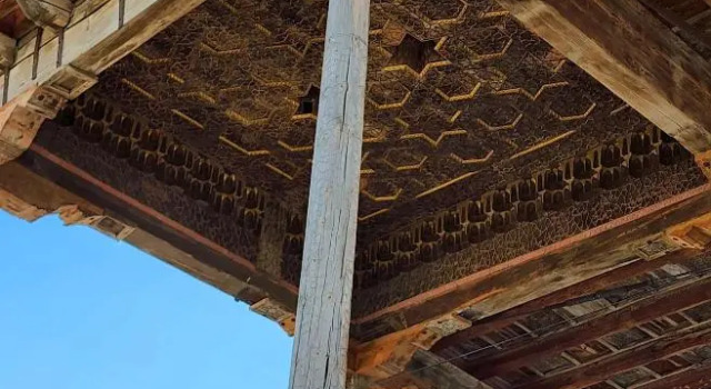 Donish Hostels, Book Hostel Hostels in Bukhara, Hostel
