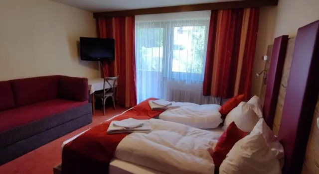 Четырёхместный номер Standard с видом на горы Hotel Buckelhof