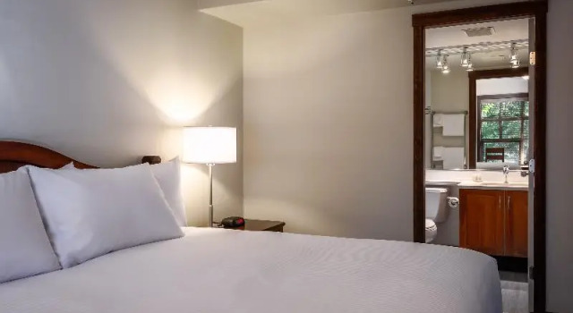 Номер Standard Blackcomb Springs Suites by CLIQUE