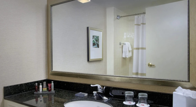 Двухместный люкс Boston Marriott Peabody
