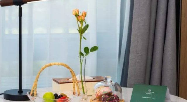 Номер Premium MEHOOD LESTIE Hotel Guangzhou Tianhe Financial City