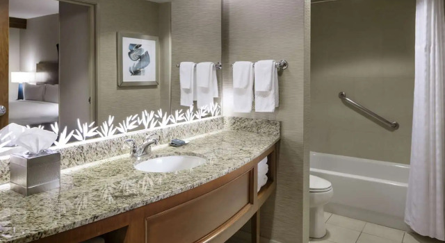Номер Standard Hilton St. Petersburg Carillon Park