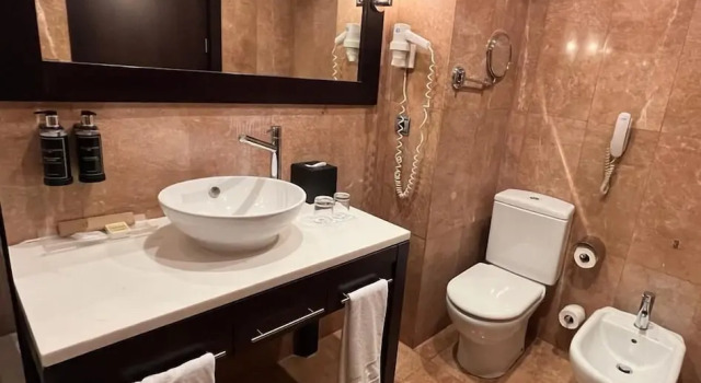 Одноместный номер Standard Eurostars Monumental
