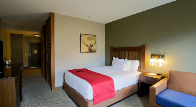 Полулюкс Great Wolf Lodge Chicago/Gurnee
