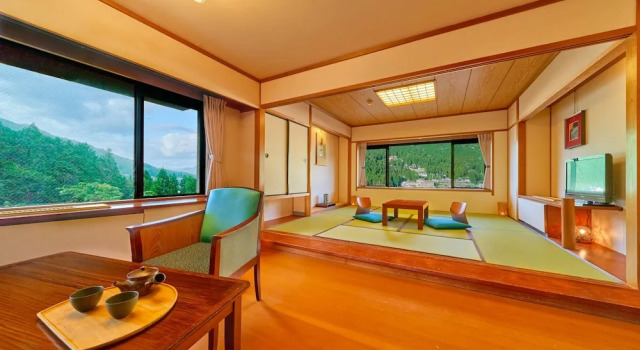 Номер Superior Ooedo Onsen Monogatari Premium Gero Honkan