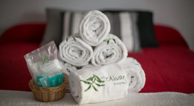 Двухместный номер Standard Boutique Hotel El Olivar