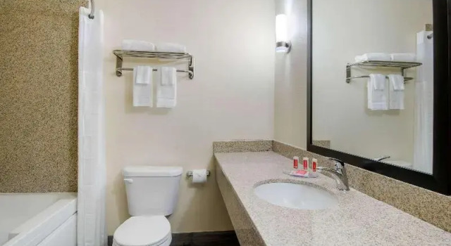 Люкс Standard Econo Lodge Inn & Suites Springfield Main Street
