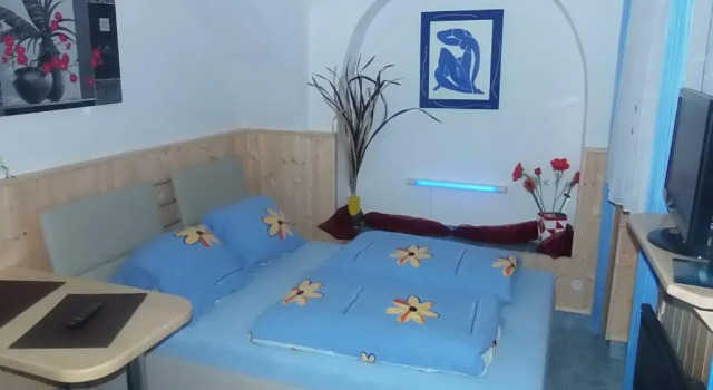 Habitación Estándar Penzion Netolice