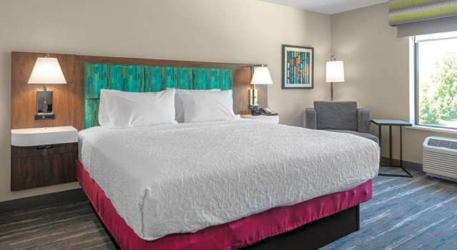 Одноместный люкс Hampton Inn & Suites Indianapolis West Speedway