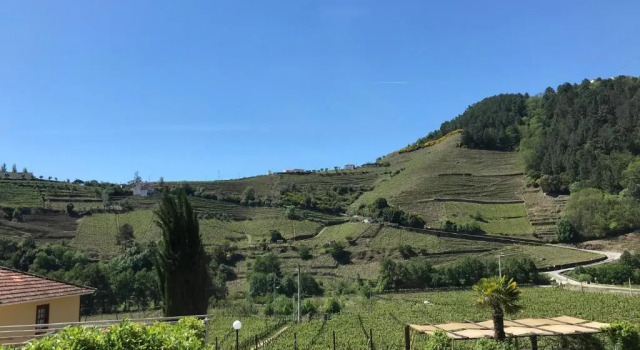 Двухместный люкс Deluxe Solar Quinta da Portela - Douro