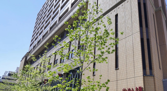 Viale Osaka, Забронировать Отель Тюо Осака, рядом с Отделение Банка Японии в Осаке