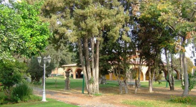 Шале с 2 комнатами Las Casitas Campestres de Fraida - Un Oasis dentro de la Ciudad